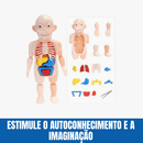 Brinquedo Educativo Crizz™ - Anatomia do Corpo Humano