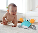 Carangueijo Fujão Teddy™ - Decristian 