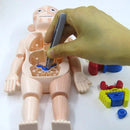 Brinquedo Educativo Crizz™ - Anatomia do Corpo Humano - Decristian